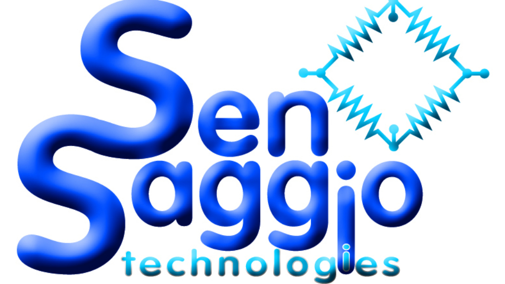 Sensaggio: innovative sensors made in italy for hydraulic and gas sector